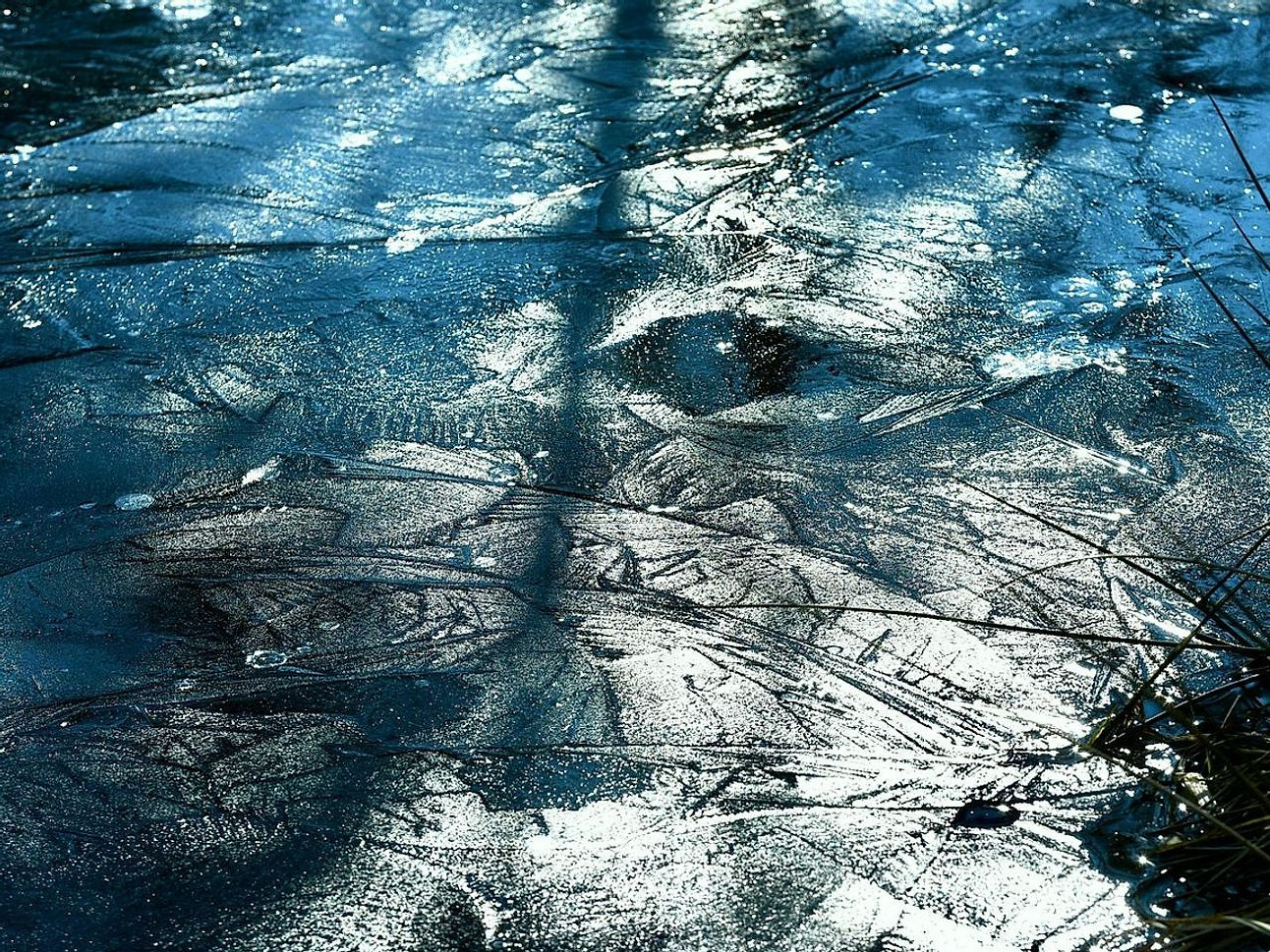 Anglers walking across windswept ice